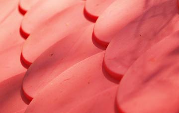 Dorcan plastic roof costs