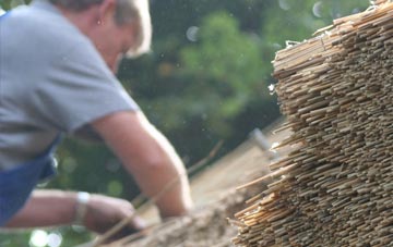 professional Dorcan thatchers